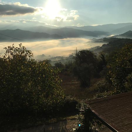 Il Mugello B&B Vicchio Luaran gambar