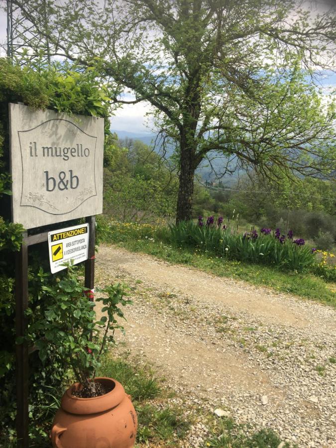 Il Mugello B&B Vicchio Luaran gambar