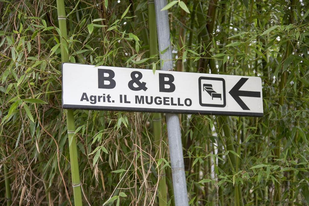 Il Mugello B&B Vicchio Luaran gambar