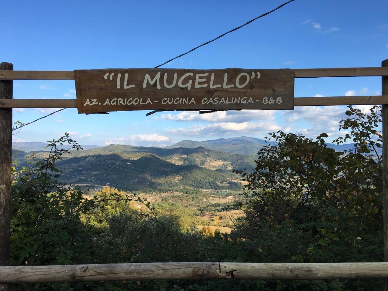 Il Mugello B&B Vicchio Luaran gambar