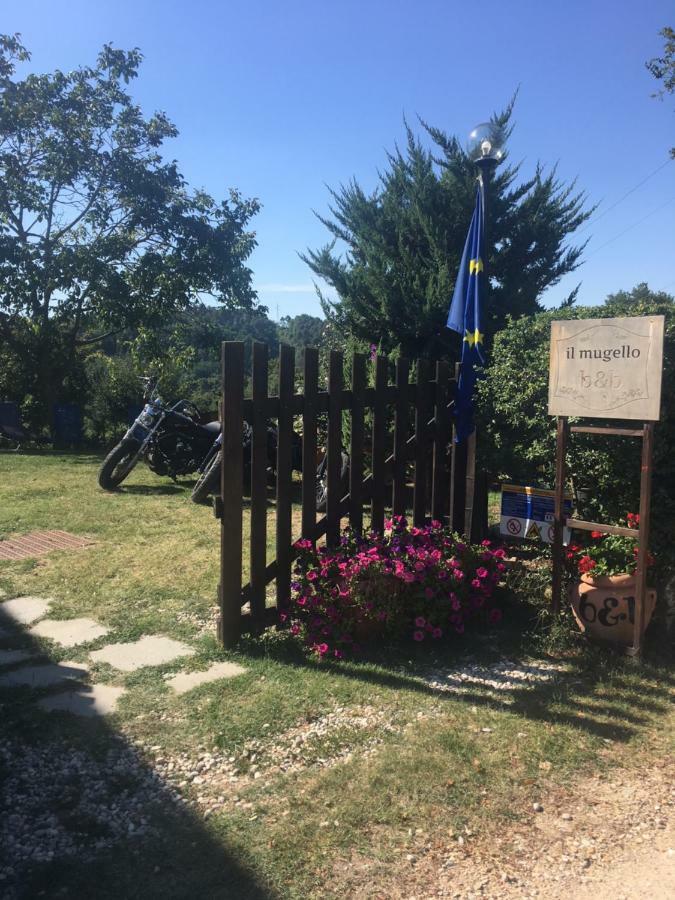 Il Mugello B&B Vicchio Luaran gambar